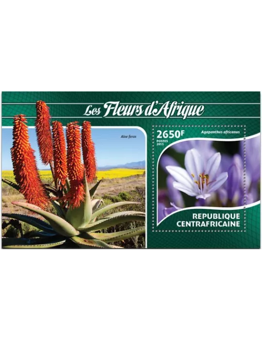 n° 798 - Timbre CENTRAFRIQUE Blocs et feuillets