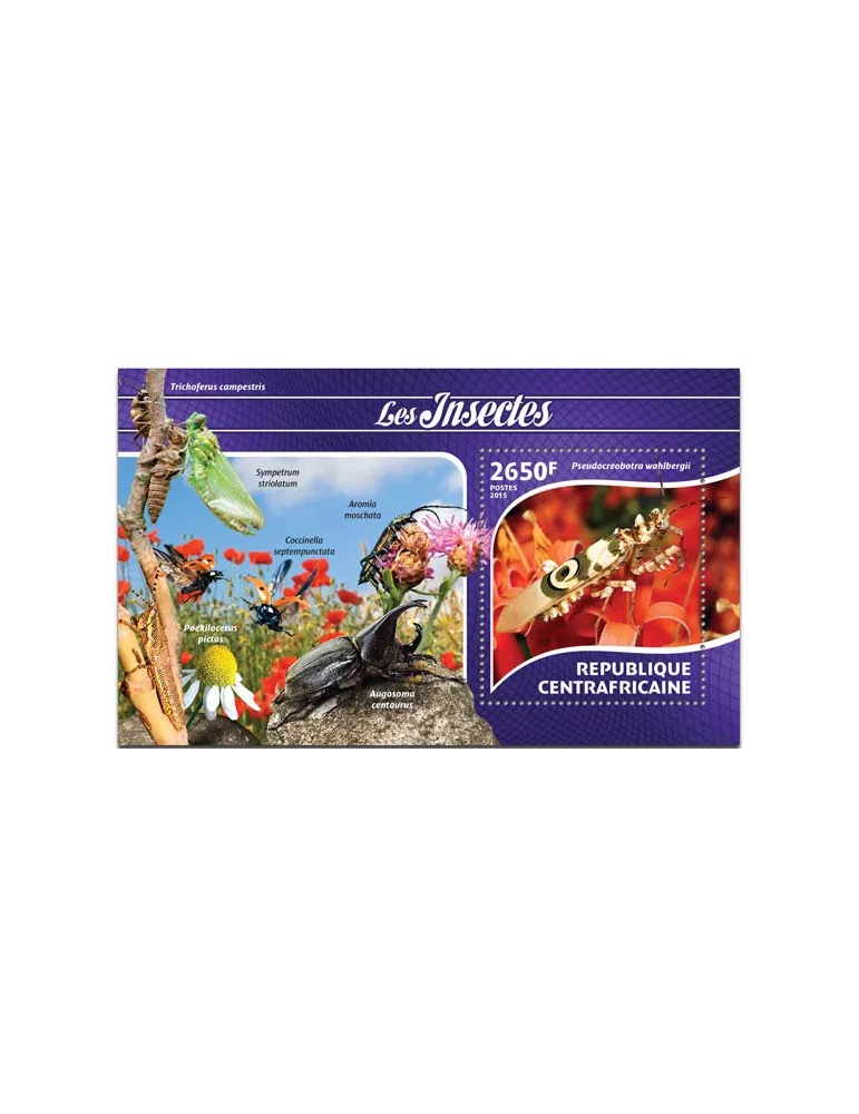 n° 800 - Timbre CENTRAFRIQUE Blocs et feuillets