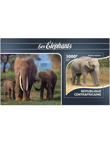 n° 811 - Timbre CENTRAFRIQUE Blocs et feuillets