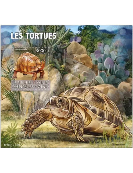 n° 900 - Timbre CENTRAFRIQUE Blocs et feuillets