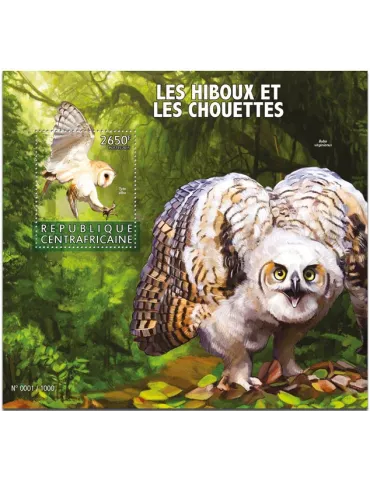 n° 909 - Timbre CENTRAFRIQUE Blocs et feuillets