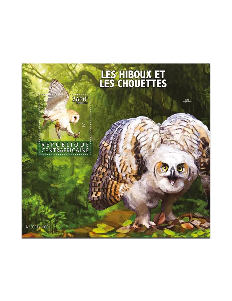 n° 909 - Timbre CENTRAFRIQUE Blocs et feuillets