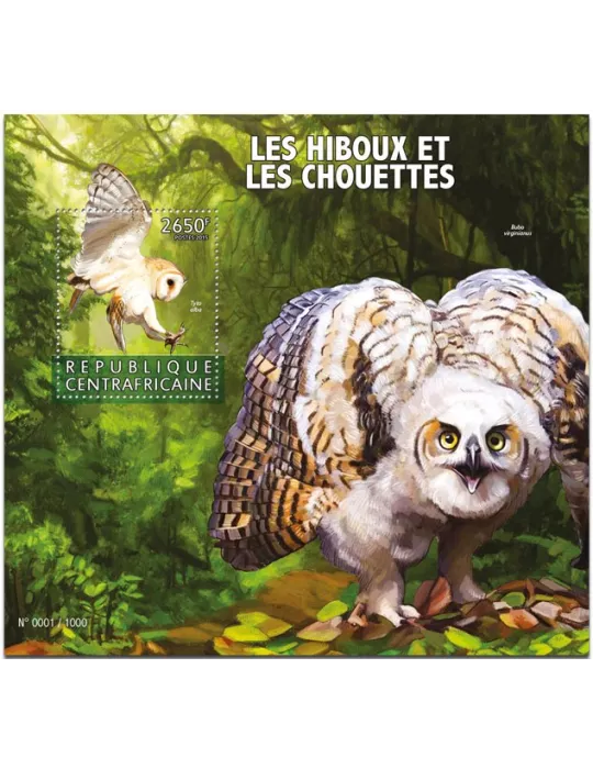 n° 909 - Timbre CENTRAFRIQUE Blocs et feuillets