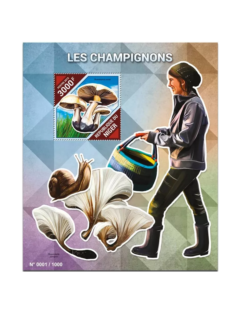 n° 494 - Timbre NIGER Blocs et feuillets