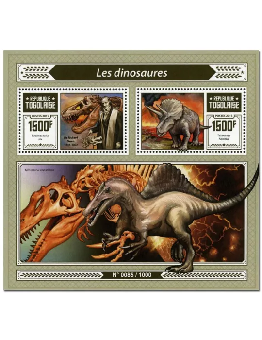 n° 1068 - Timbre TOGO Blocs et feuillets