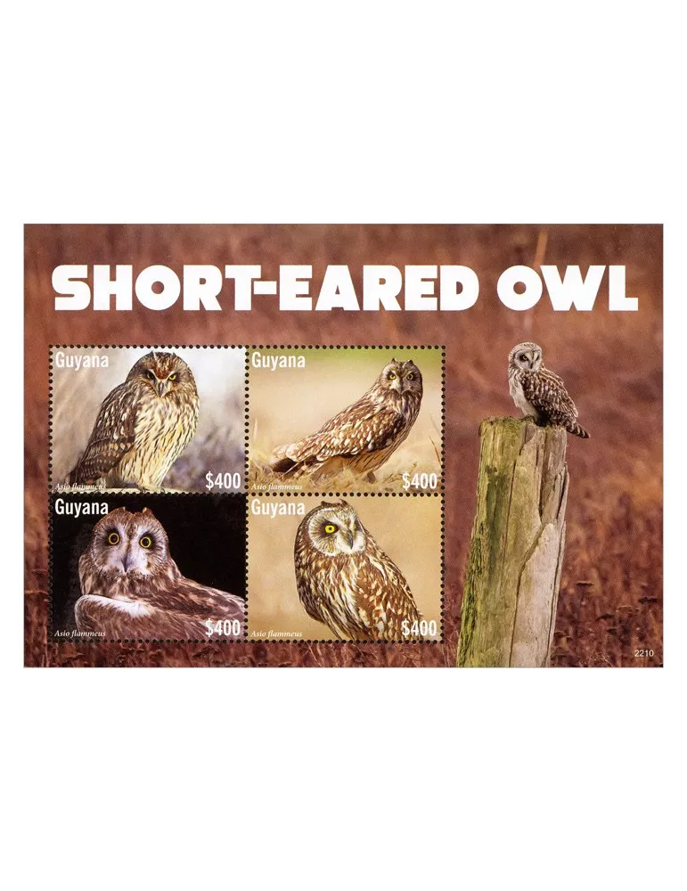 n° 7358/7361 - Timbre GUYANA Poste