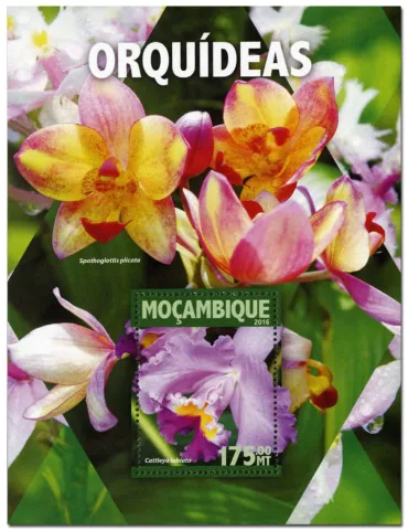 n° 1040 : Timbre MOZAMBIQUE Blocs et feuillets