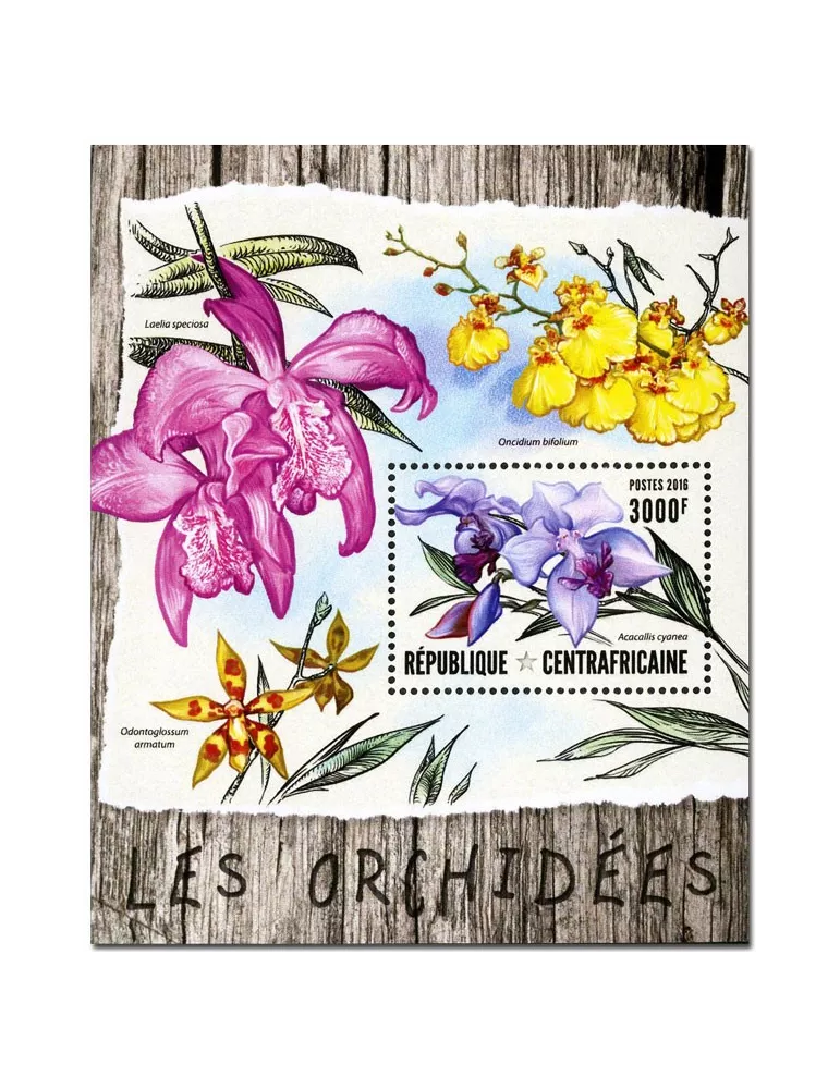 n° 985 : Timbre CENTRAFRIQUE Blocs et feuillets