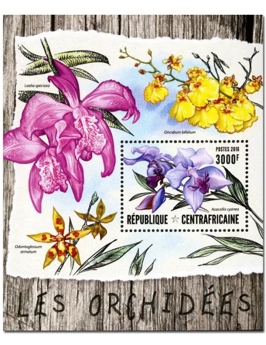 n° 985 : Timbre CENTRAFRIQUE Blocs et feuillets