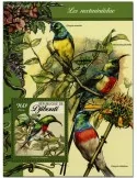 n° 39 : Timbre DJIBOUTI Blocs et feuillets