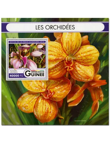 n° 1973 : Timbre GUINÉE Blocs et feuillets