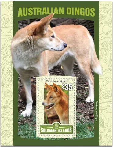 n° 493 : Timbre SALOMON Blocs et feuillets