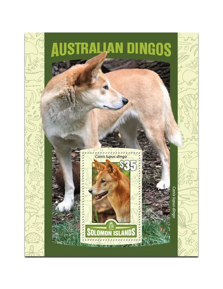 n° 493 : Timbre SALOMON Blocs et feuillets