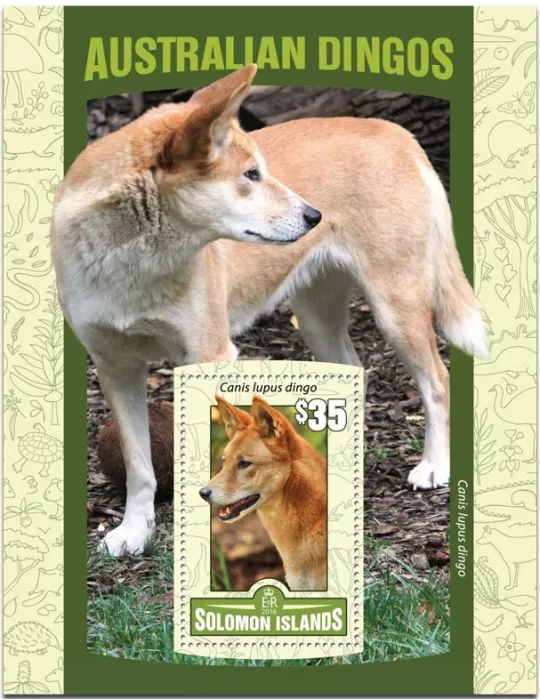 n° 493 : Timbre SALOMON Blocs et feuillets