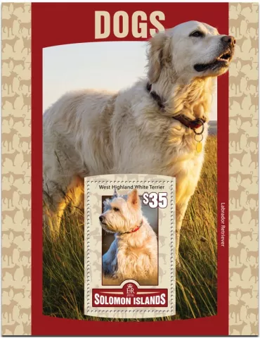 n° 494 : Timbre SALOMON Blocs et feuillets