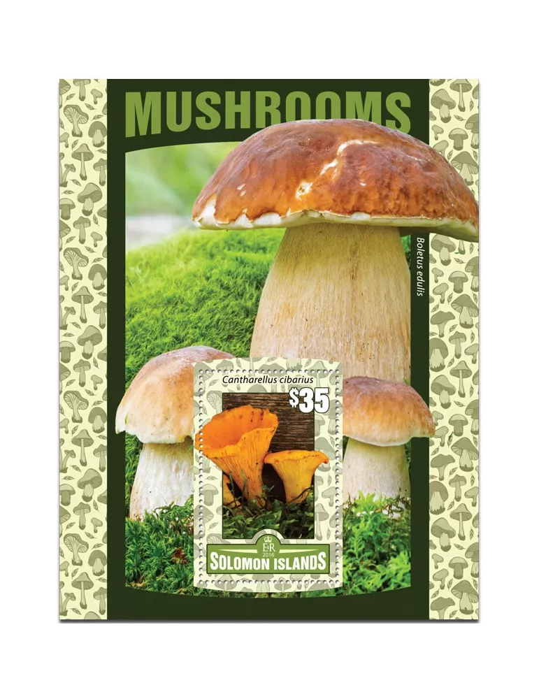 n° 502 : Timbre SALOMON Blocs et feuillets