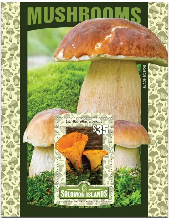 n° 502 : Timbre SALOMON Blocs et feuillets