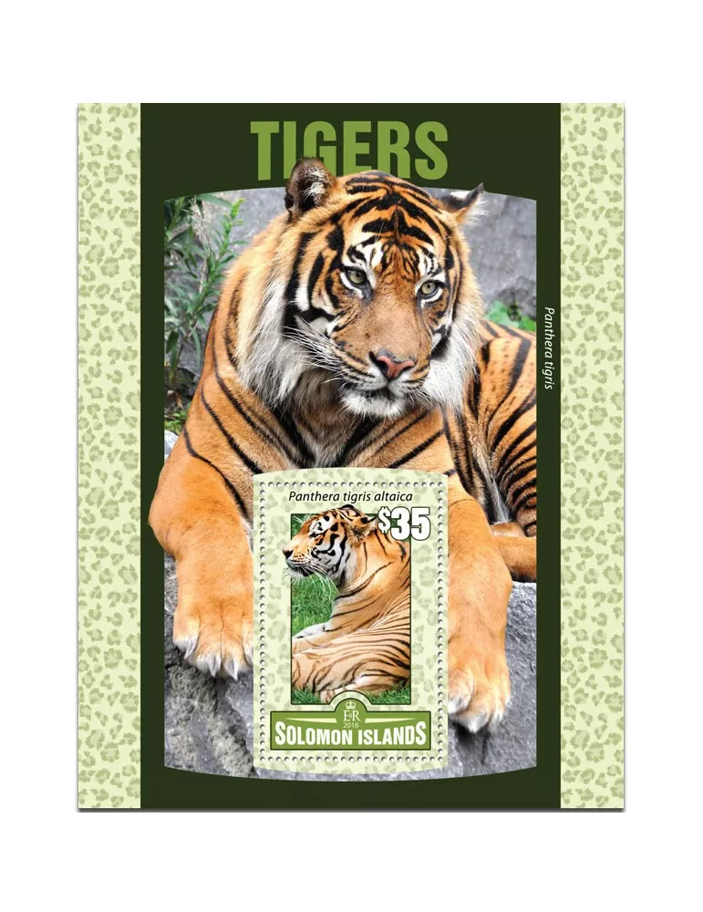 n° 509 : Timbre SALOMON Blocs et feuillets