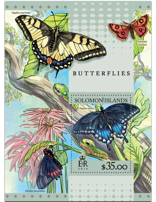 n° 541 : Timbre SALOMON Blocs et feuillets