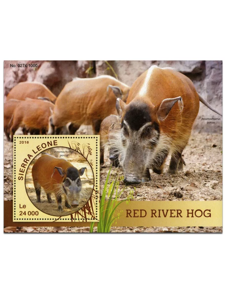 n° 887 : Timbre SIERRA LEONE Blocs et feuillets