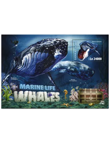 n° 925 : Timbre SIERRA LEONE Blocs et feuillets