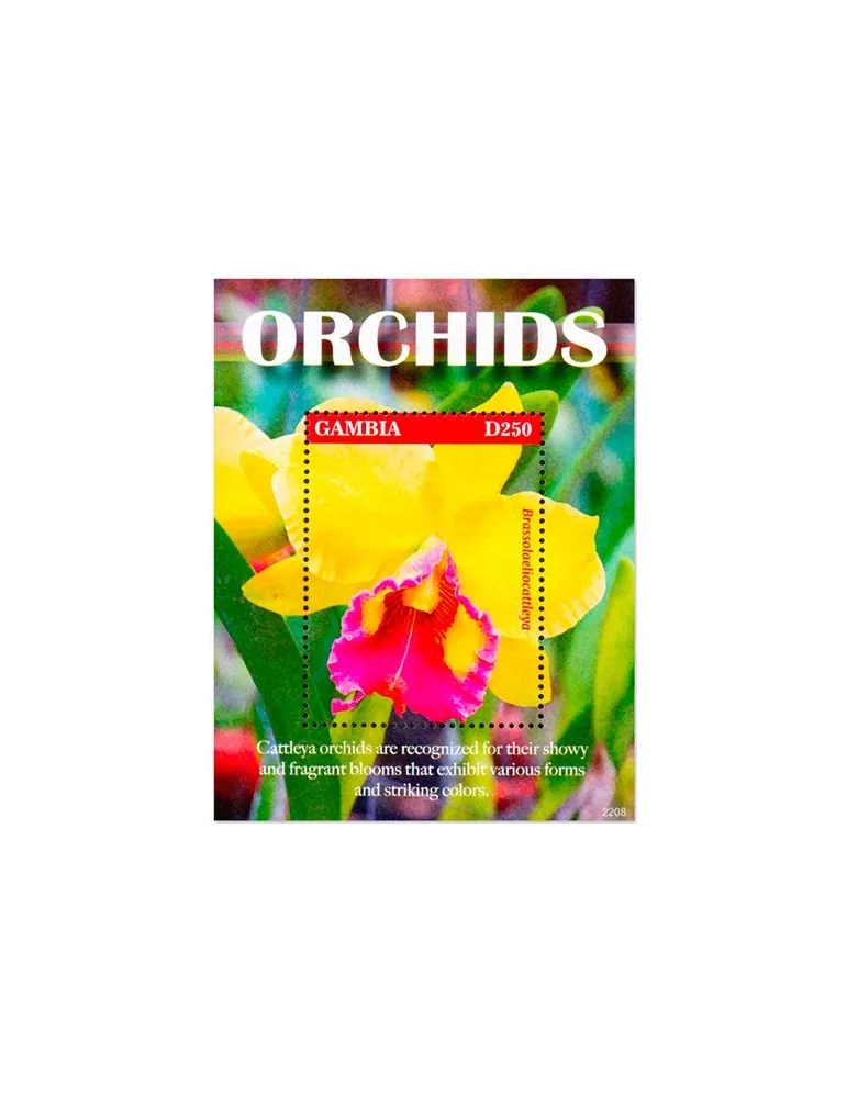 n° 973 - Timbre GAMBIE Blocs et feuillets