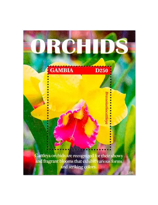 n° 973 - Timbre GAMBIE Blocs et feuillets