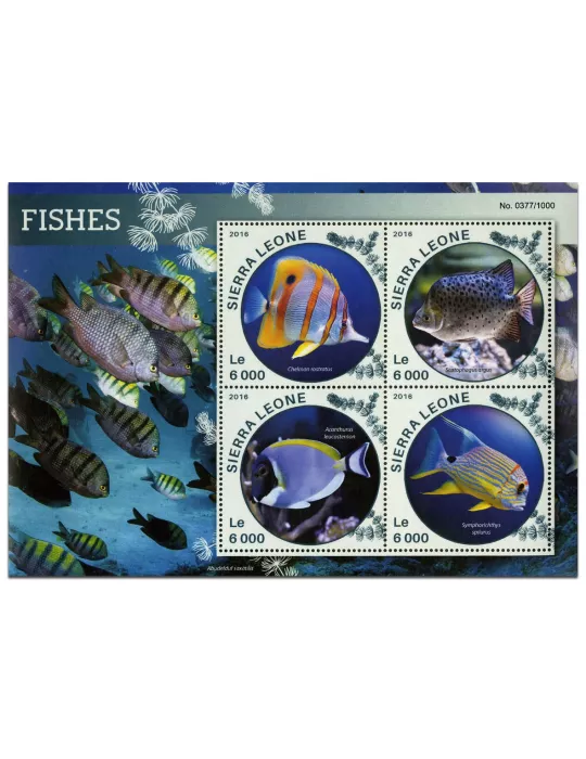 n° 5693 : Timbre SIERRA LEONE Poste