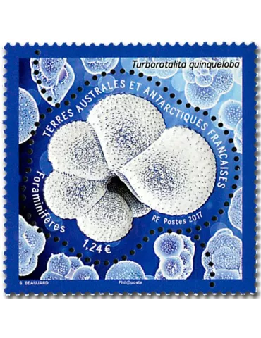 n° 804 - Timbre TAAF Poste