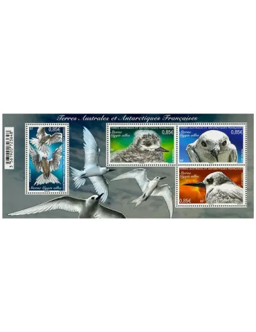 n° F798 - Timbre TAAF Poste