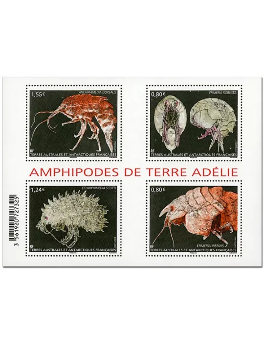 n° F807 - Timbre TAAF Poste