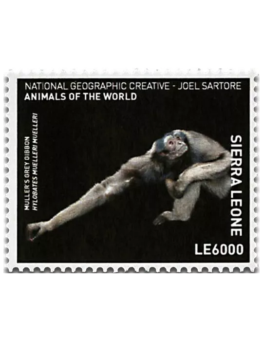 n° 6605 - Timbre SIERRA LEONE Poste