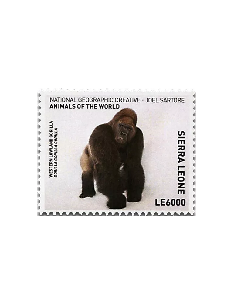 n° 6605 - Timbre SIERRA LEONE Poste