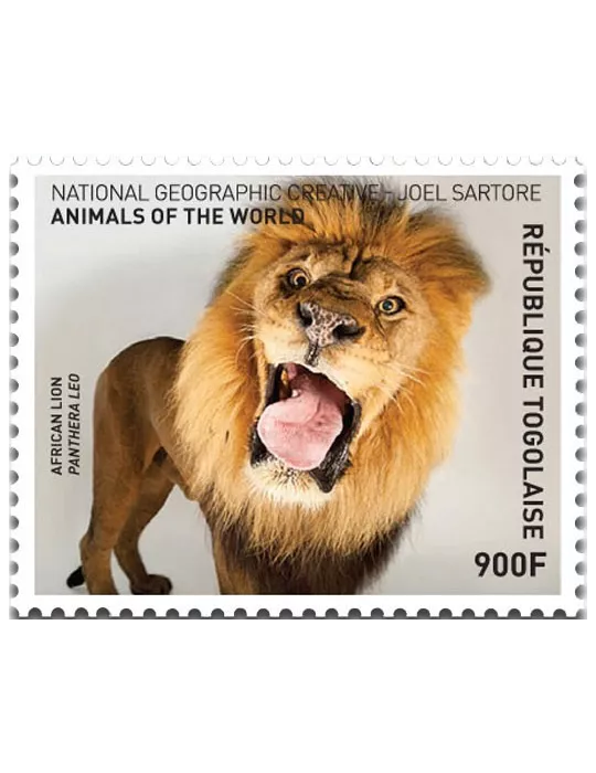 n° 5430 - Timbre TOGO Poste