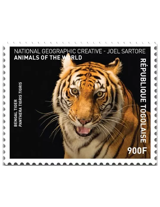 n° 5430 - Timbre TOGO Poste