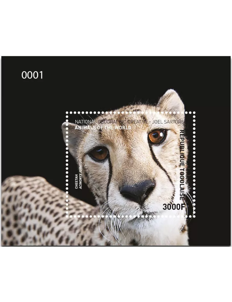 n° 1220 - Timbre TOGO Blocs et feuillets