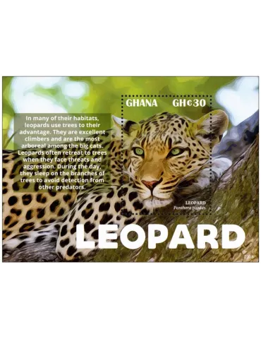 n° 592 - Timbre GHANA Blocs et feuillets