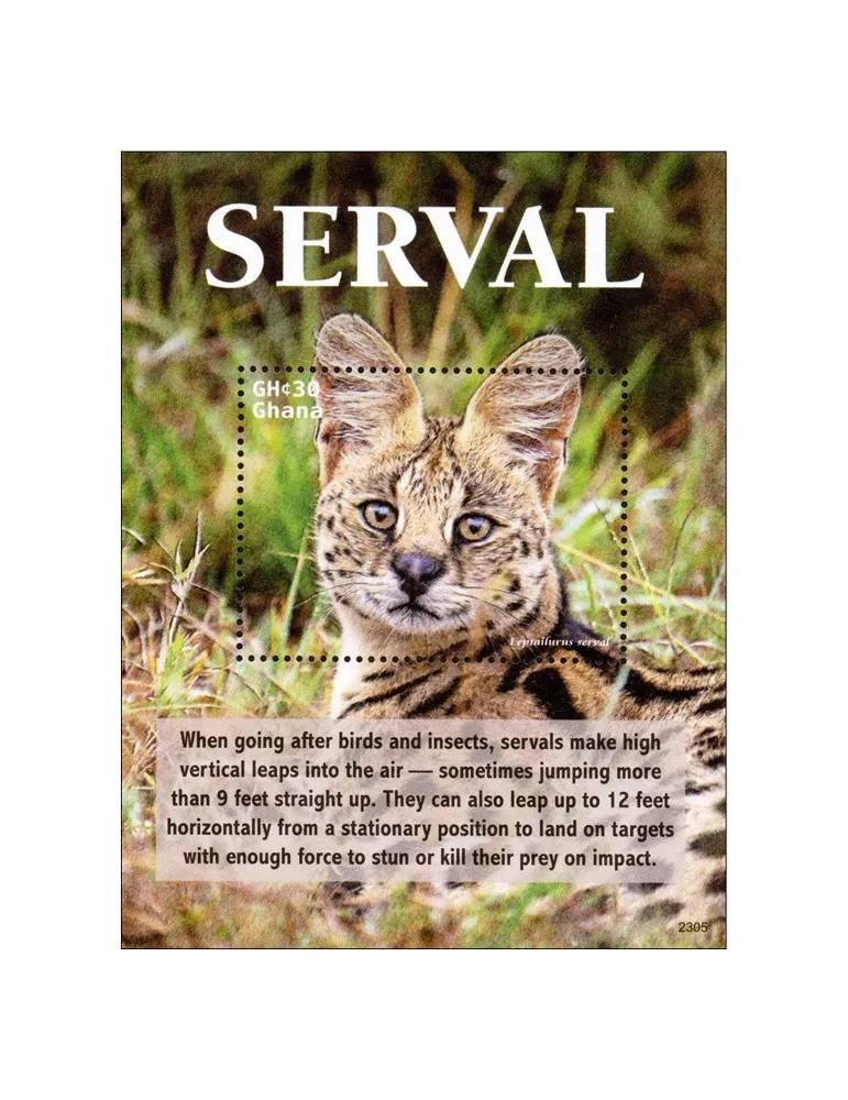 n° 594 - Timbre GHANA Blocs et feuillets