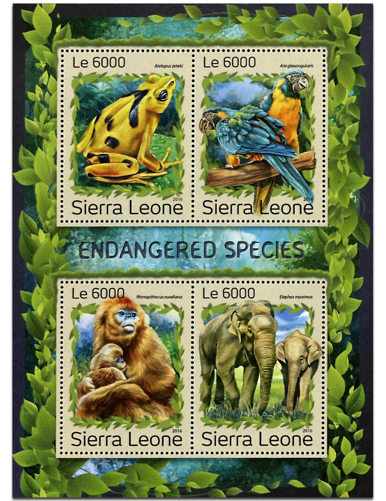 n° 6537 - Timbre SIERRA LEONE Poste