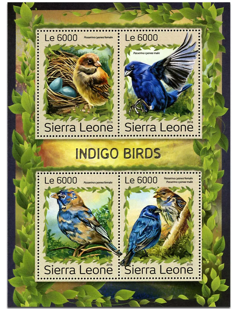 n° 6585 - Timbre SIERRA LEONE Poste