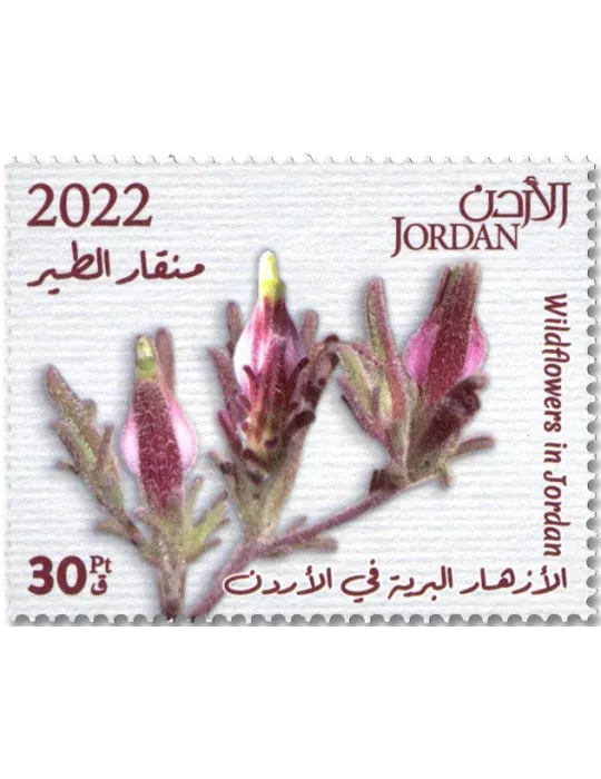 n° 2338/2347 - Timbre JORDANIE Poste