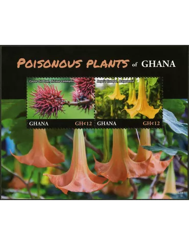 n° 567 - Timbre GHANA Blocs et feuillets