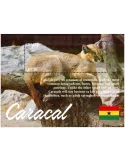 n° 598 - Timbre GHANA Blocs et feuillets