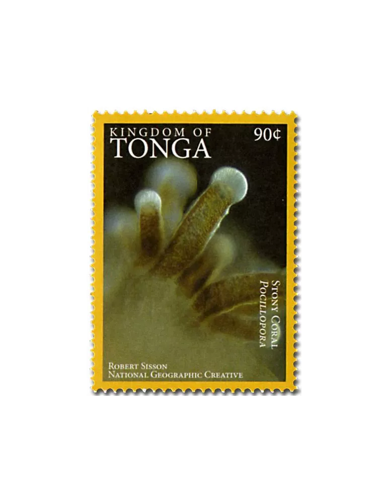 n° 1468A - Timbre TONGA Poste