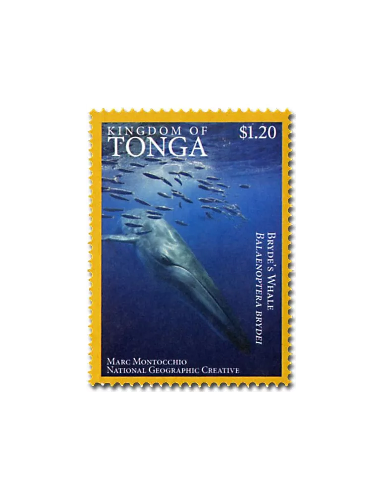 n° 1468A - Timbre TONGA Poste