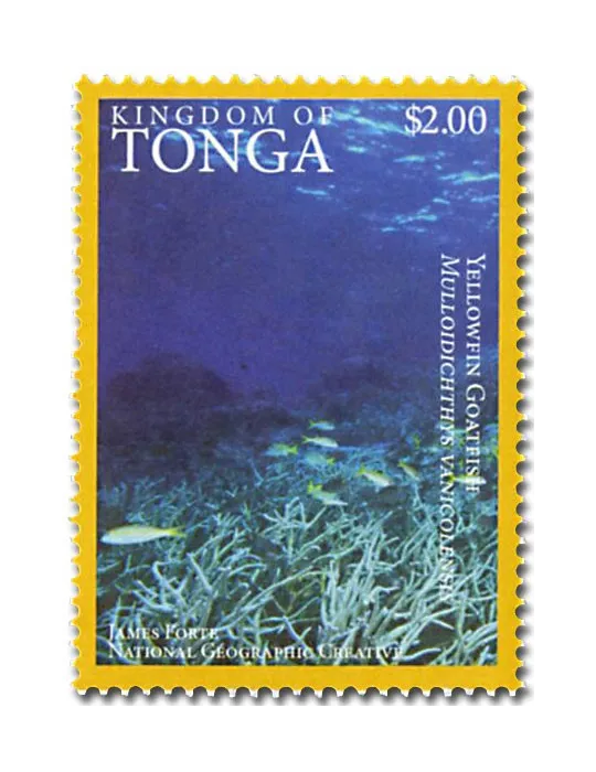 n° 1468A - Timbre TONGA Poste