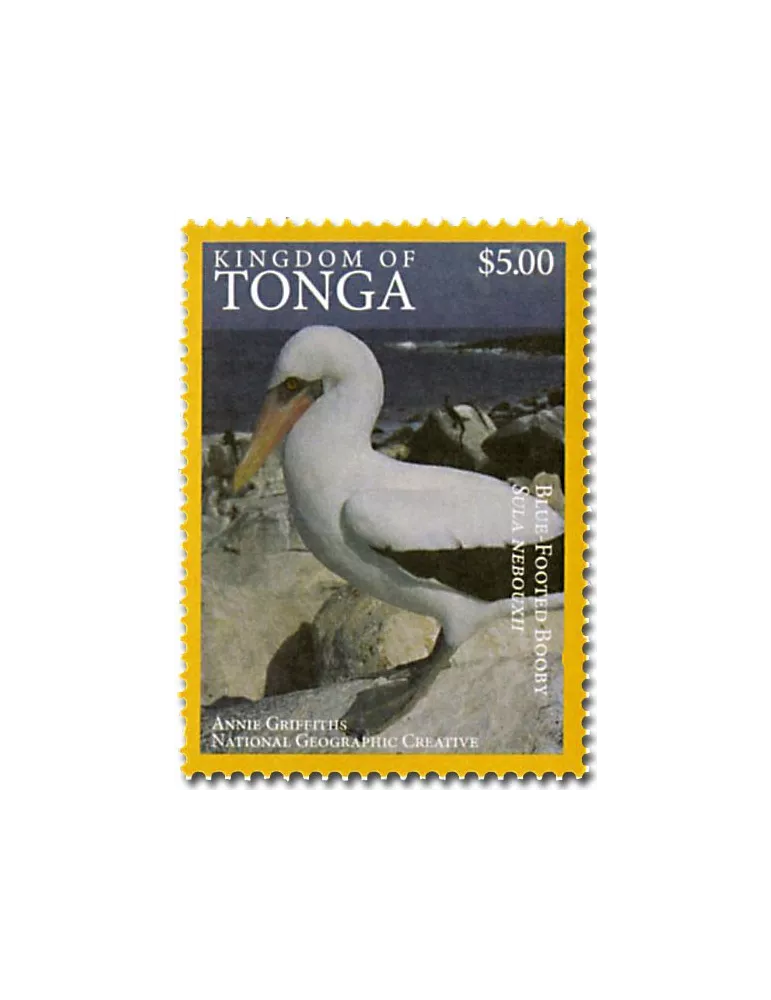 n° 1468A - Timbre TONGA Poste
