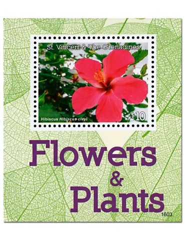 n° 766 - Timbre SAINT-VINCENT Blocs et feuillets
