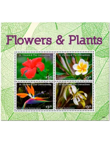 n° 6093 - Timbre SAINT-VINCENT Poste