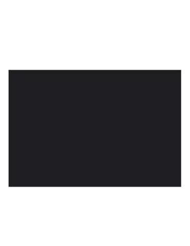 SUPPORT CARTONNE NOIR - SAFE (par 10)
